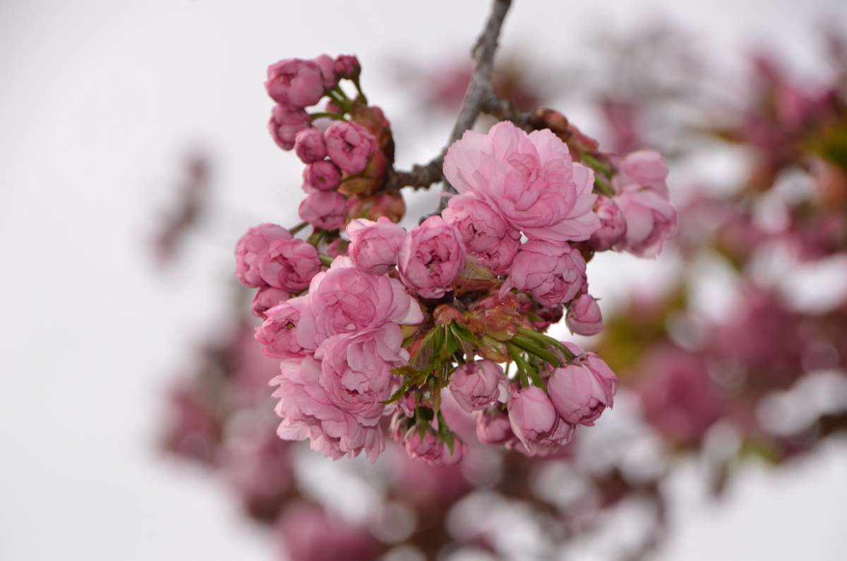 2014-03-31 16-31-22.JPG